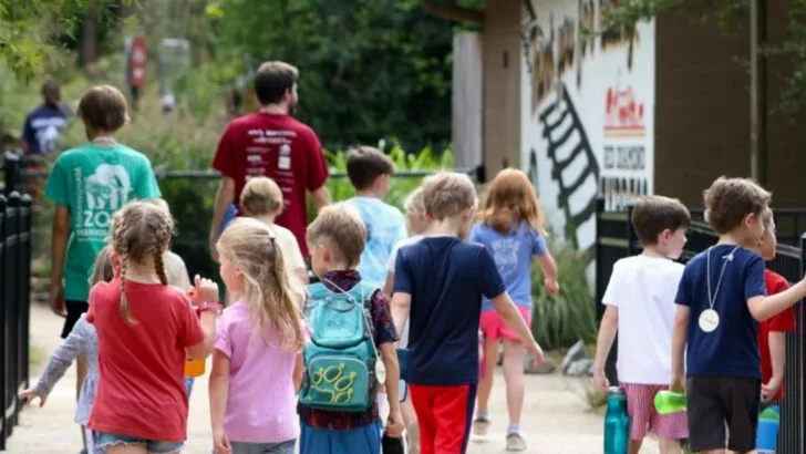 15 Summer Adventures to Enjoy With Kids in Alabama