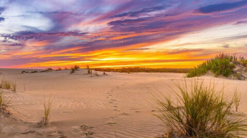 17 Hidden East Coast Beaches Worth Discovering