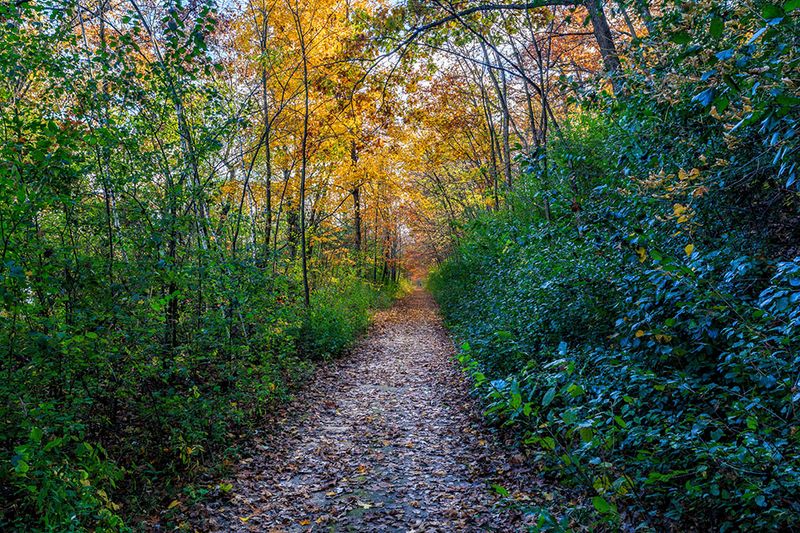 Afton State Park