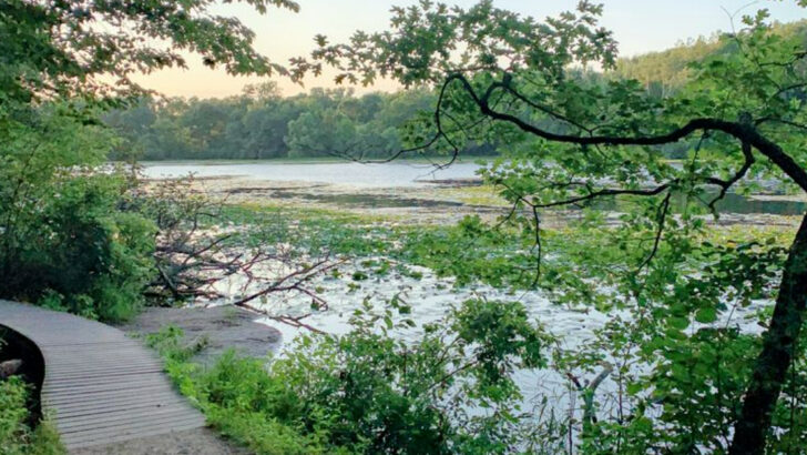 17 Top Trails to Hike Around Minneapolis–St. Paul in 2025