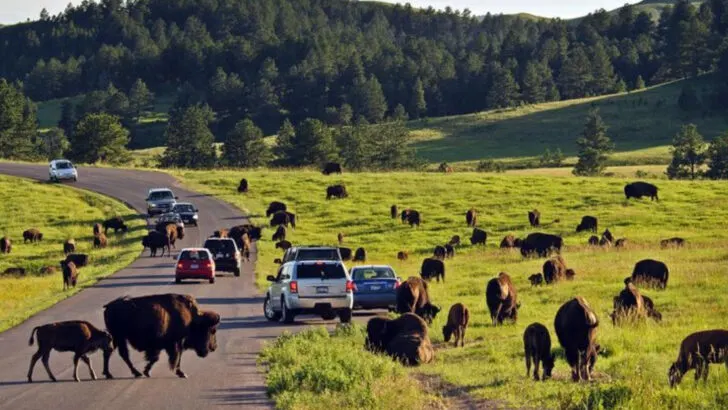 18 Breathtaking State Parks That Rival the Beauty of Many National Parks