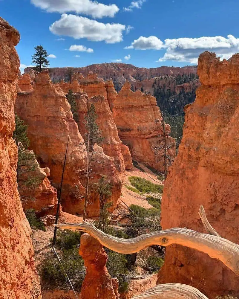 Bryce Canyon