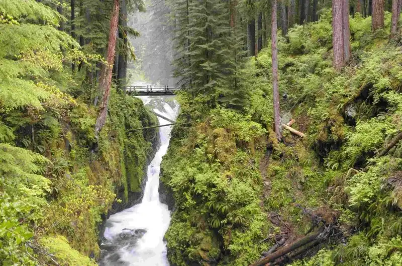 Olympic National Park, Washington