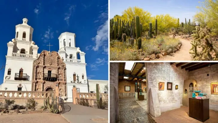 23 Reasons Tucson, Arizona Should Be on Your Bucket List