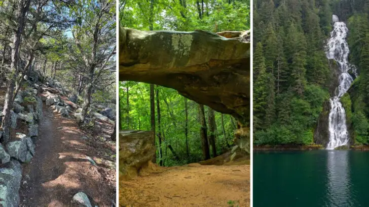 26 of America’s Most Breathtaking National Forests