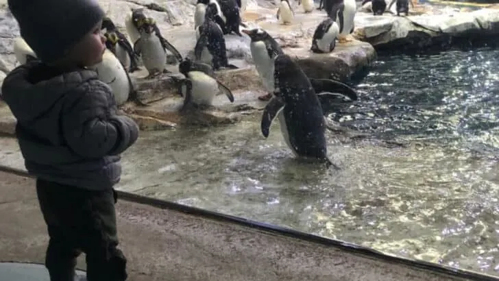 27 Unforgettable Adventures to Have in Michigan with Your Kids