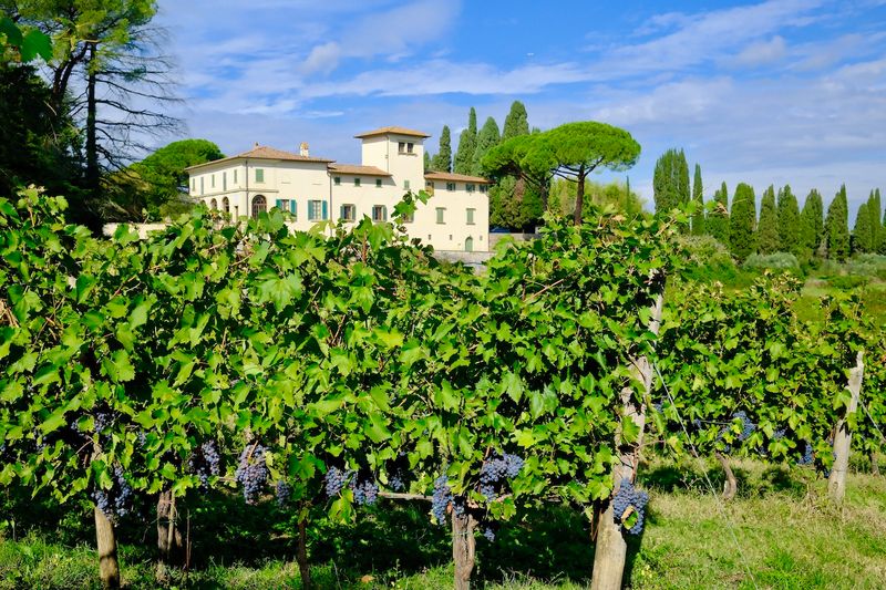 Vineyard Villa in Chianti