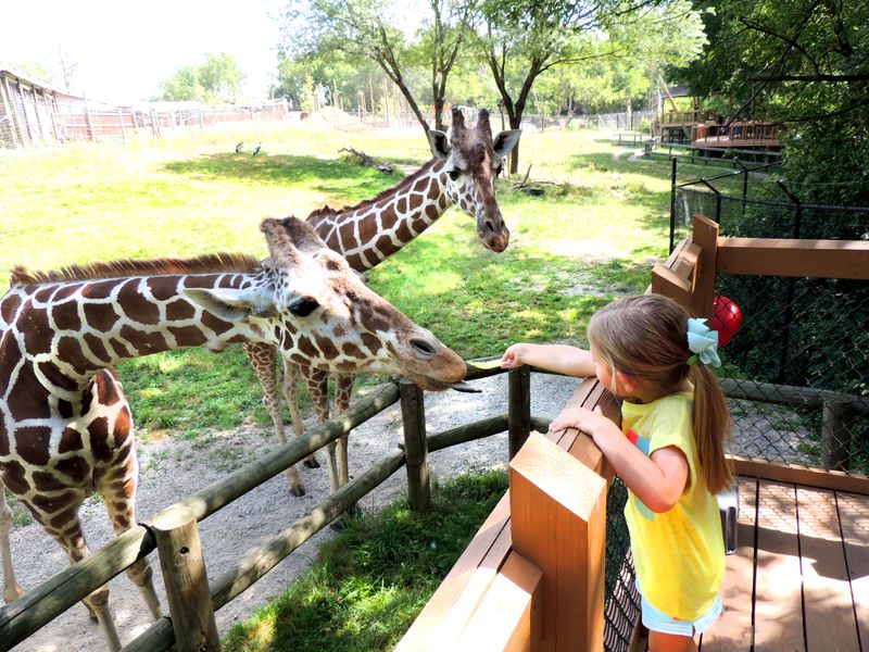 Blank Park Zoo