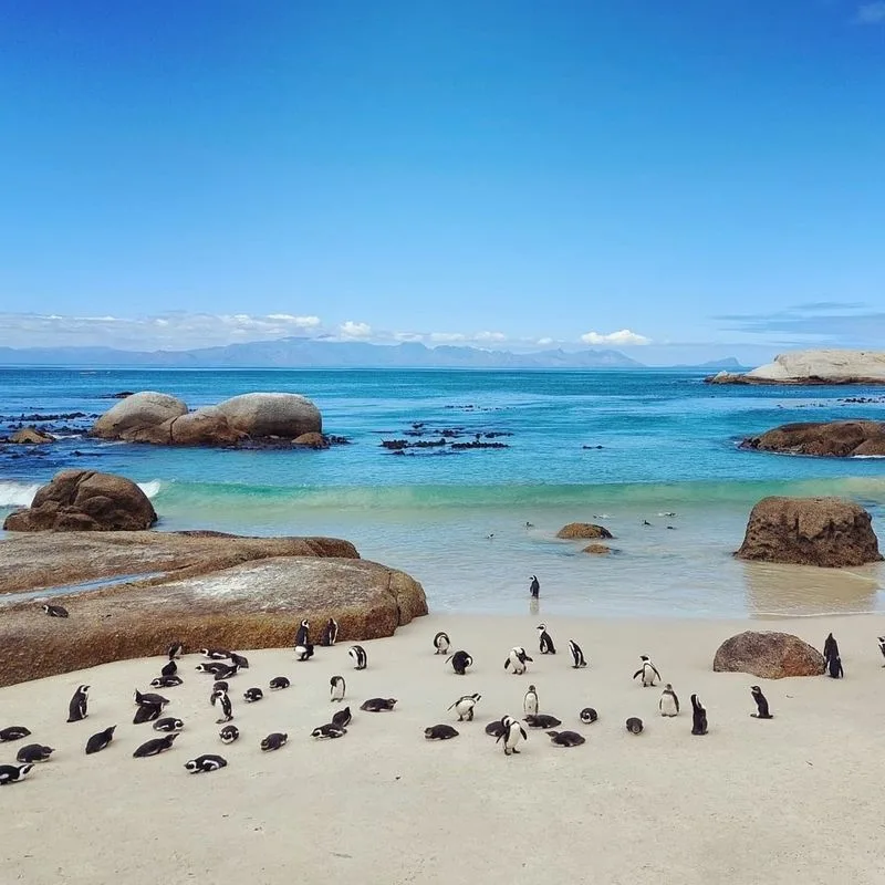 Boulders Beach, South Africa