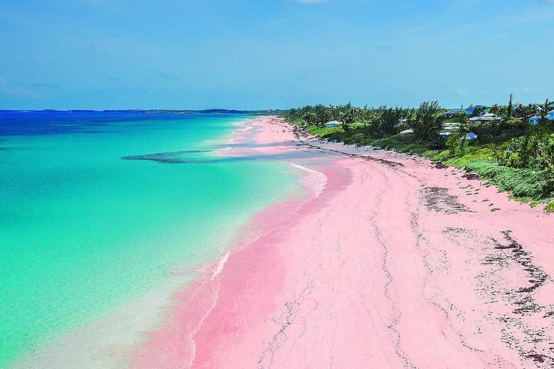 Pink Sands Beach, Bahamas