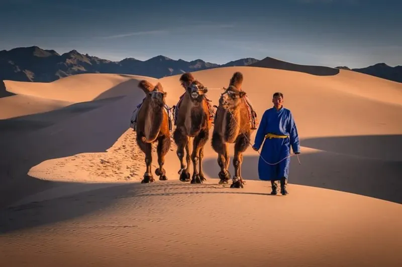 Mongolia's Gobi Desert