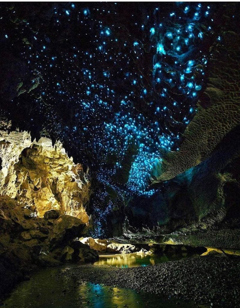 Glowworm Caves, New Zealand