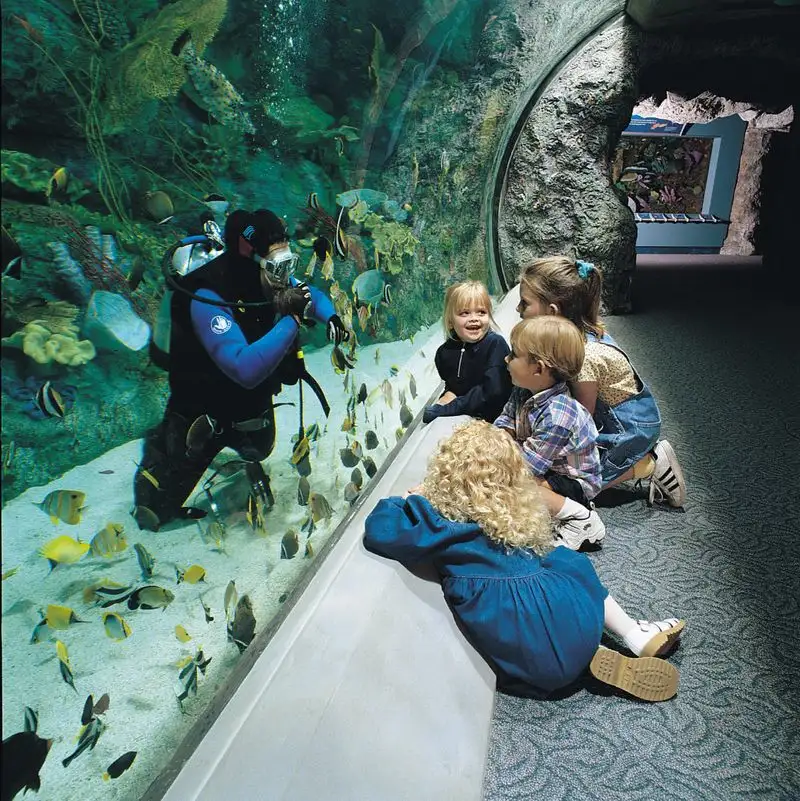 Aquarium of the Pacific