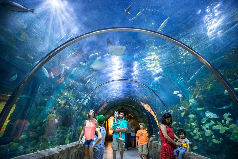 Audubon Aquarium of the Americas