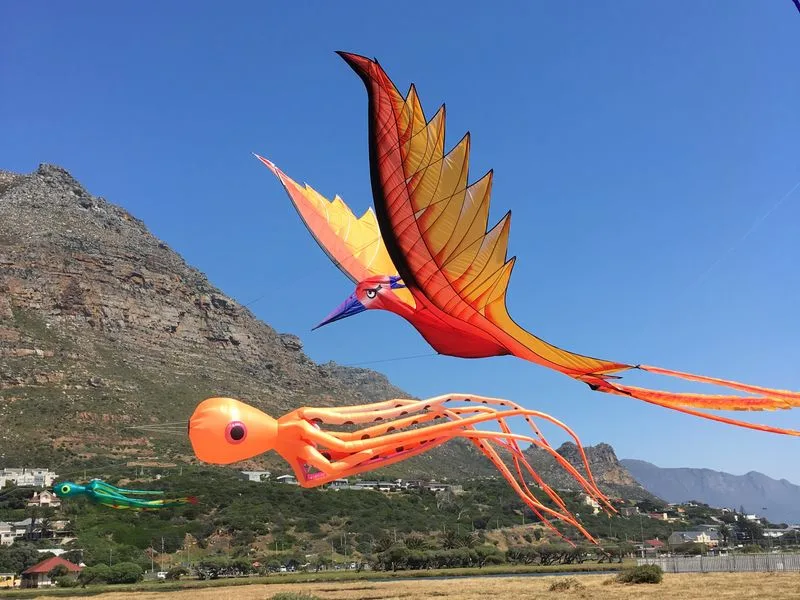 Cape Town International Kite Festival