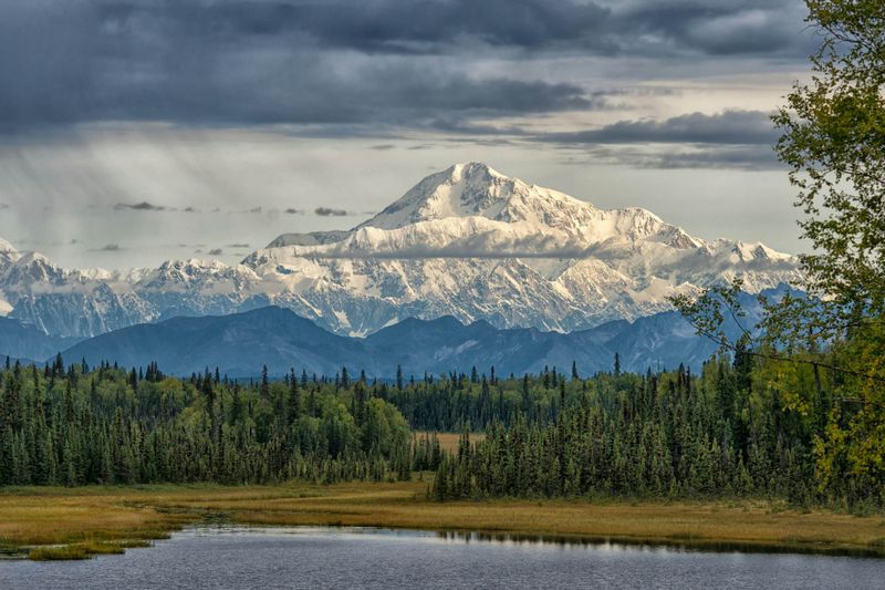 Denali National Park