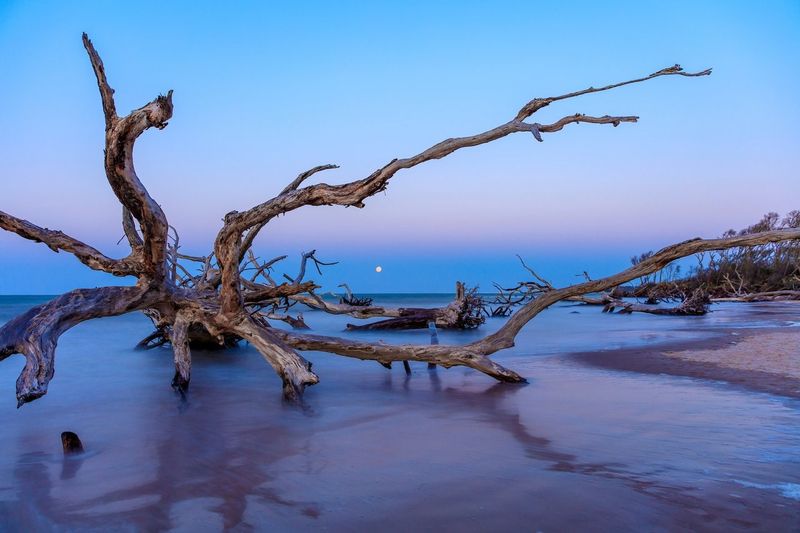 Little Talbot Island
