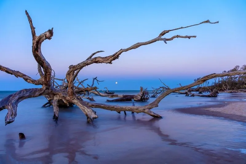 Little Talbot Island