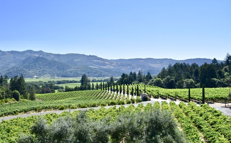 Napa Valley, USA