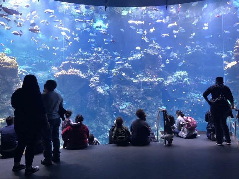 Monterey Bay Aquarium, California