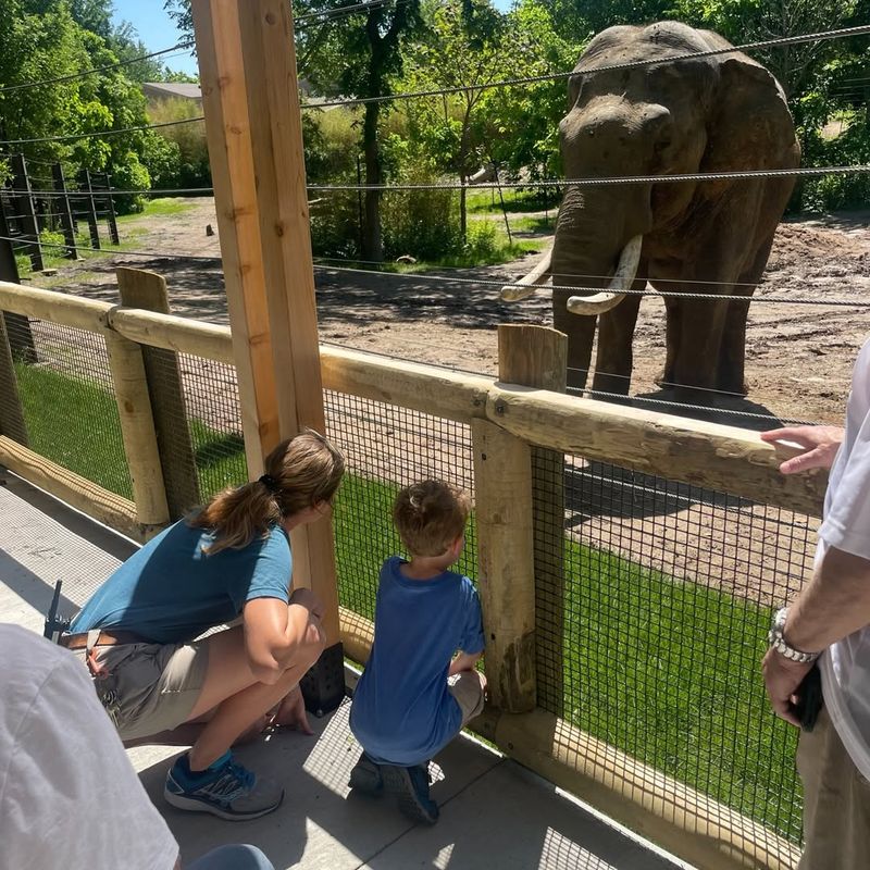St. Louis Zoo