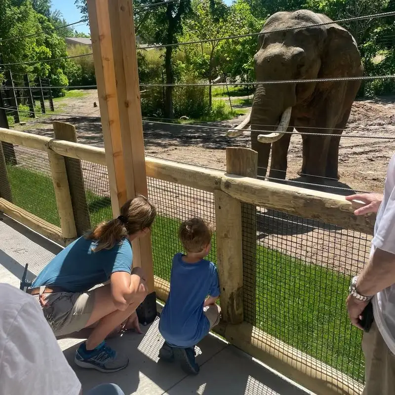 St. Louis Zoo
