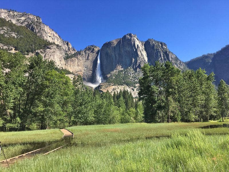 Sentinel Meadow & Cook's Meadow Loop