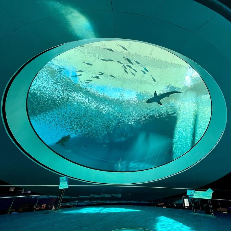 Frost Science Museum, Miami