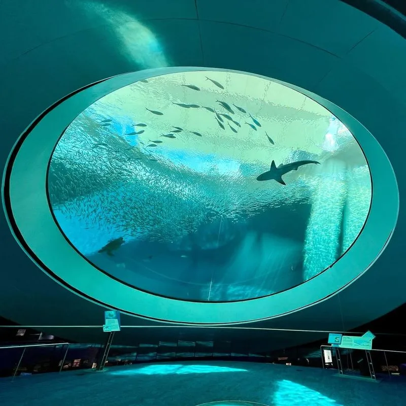 Frost Science Museum, Miami