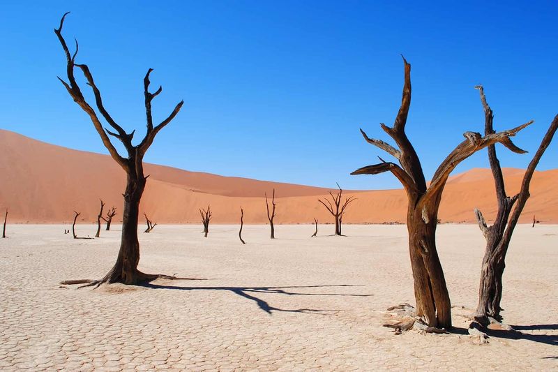 Namib Desert, Namibia