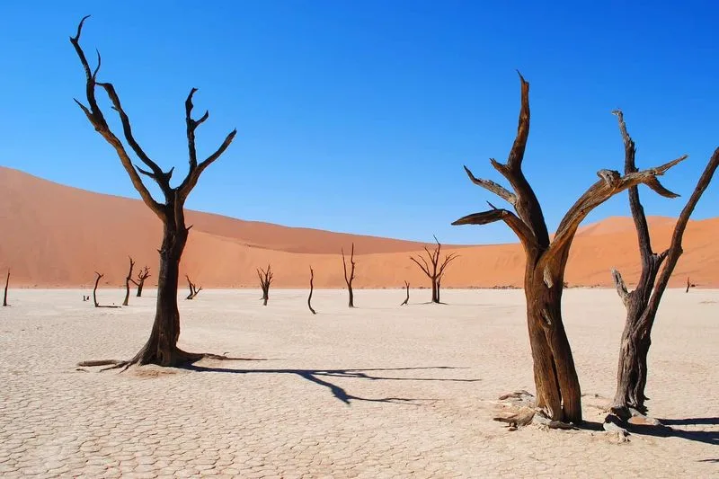 Namib Desert, Namibia