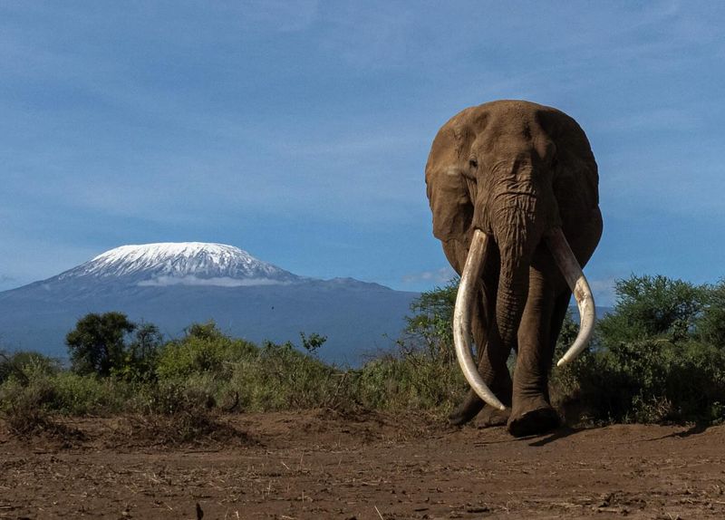 Amboseli National Park, Kenya