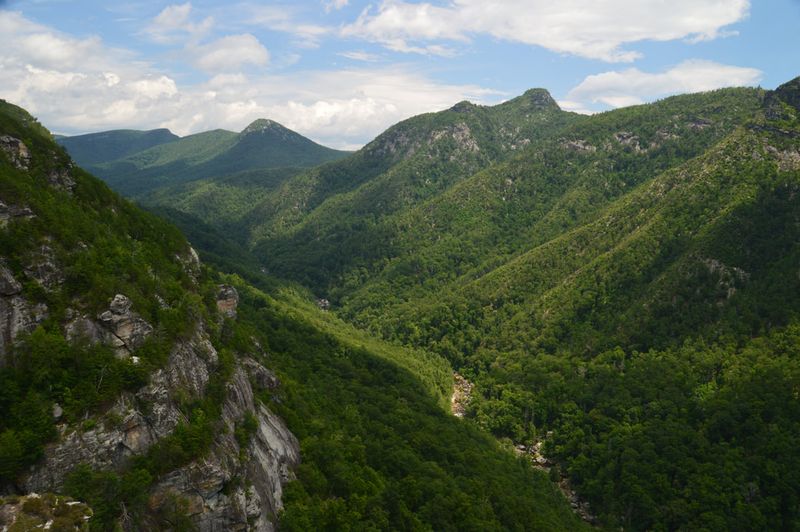 Linville Gorge Wilderness