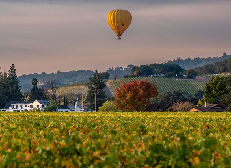 Napa Valley, USA