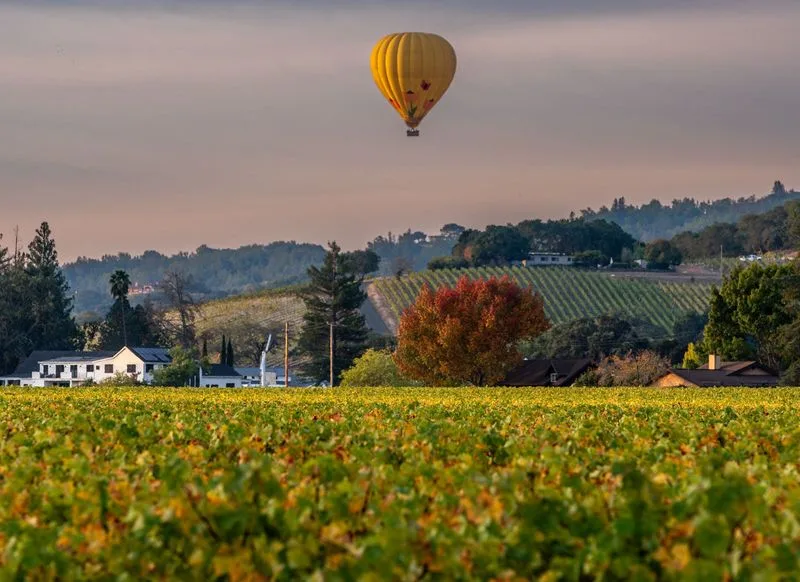 Napa Valley, USA