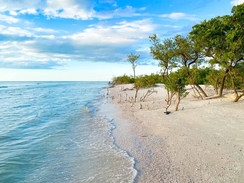 Honeymoon Island
