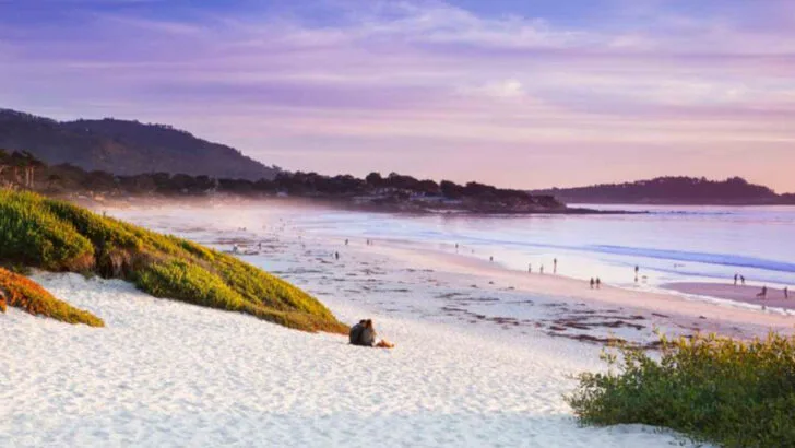 Carmel-by-the-Sea This Hidden California Coastal Town Blends Art, Nature, and Redwood Magic