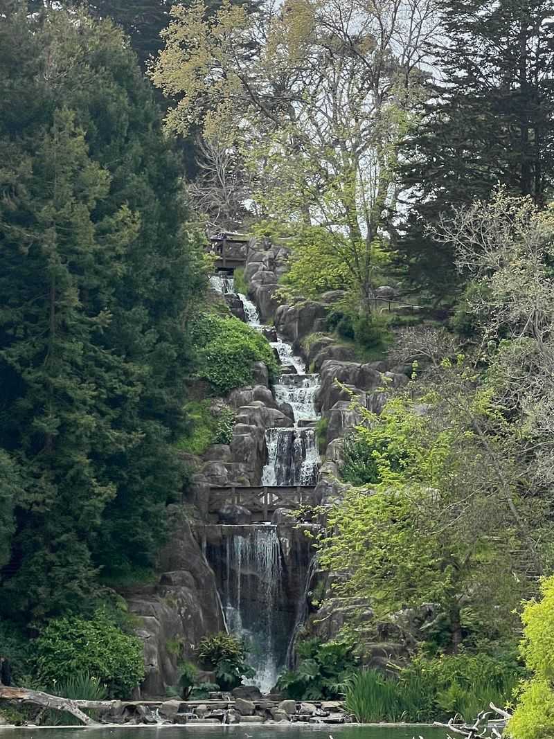 Golden Gate Park, San Francisco