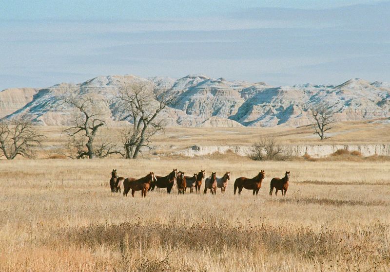 Pine Ridge Reservation