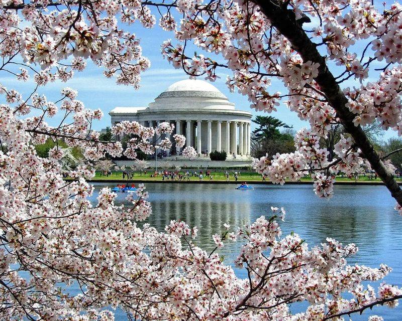 Washington, D.C.
