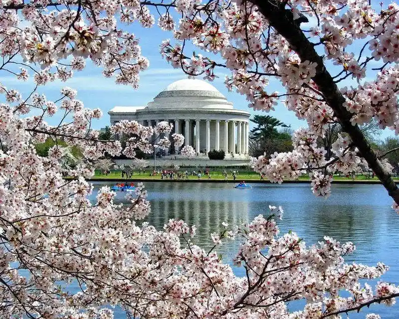 Washington, D.C.