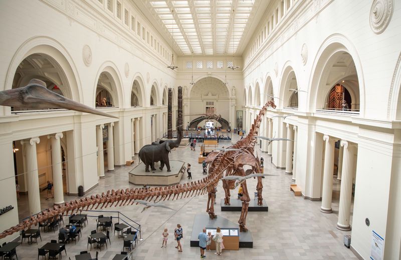 The Field Museum in Chicago