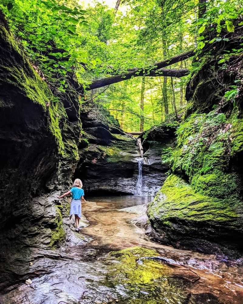 Turkey Run State Park