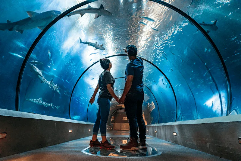 Oregon Coast Aquarium