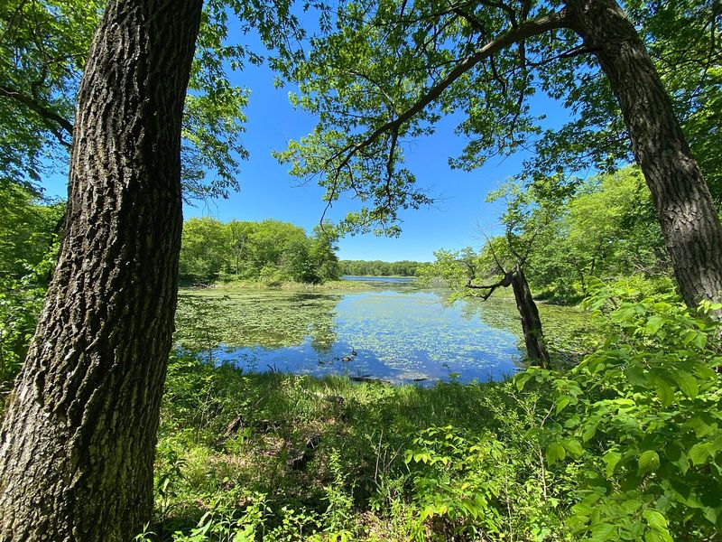 Lake Maria State Park