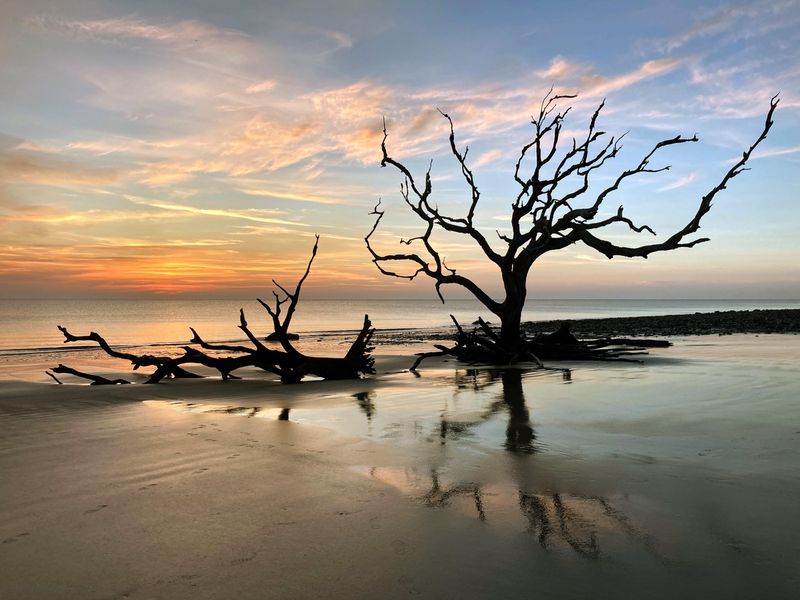 Driftwood Beach, Jekyll Island