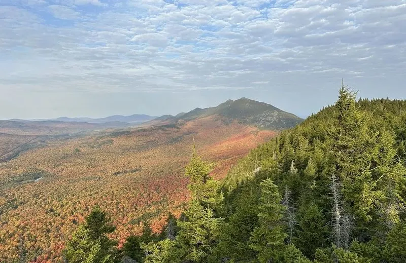 Bigelow Preserve