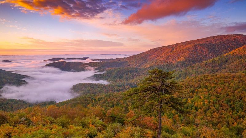 Shenandoah National Park