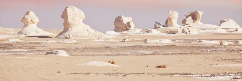 White Desert