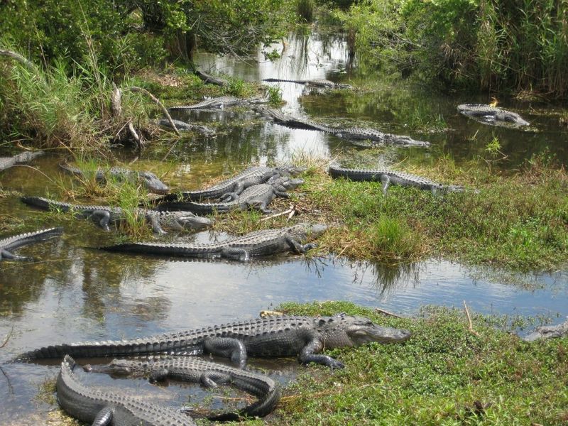 Everglades National Park